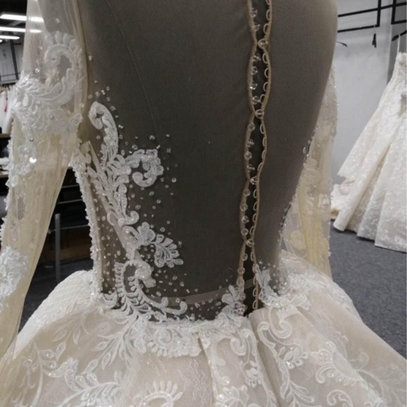Long sleeved A-line wedding dress with Drop Waist. A Dark Ivory Gown - Picture 5 of 5